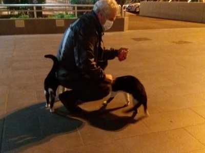 I ferrovieri hanno adottato i due gatti. Il 64enne Lello ad esempio ha sempre con s� qualche scatoletta da servire come merenda...